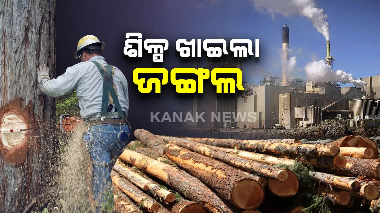  ଶିଳ୍ପ ଖାଇଲା ଜଙ୍ଗଲ :  ଶିଳ୍ପର ବିକାଶ ପାଇଁ ରାଜ୍ୟରେ ସଫା ହୋଇଛି ୫୯୯ ହେକ୍ଟର ଜଙ୍ଗଲ, ଗୃହରେ ଉତ୍ତର ରଖିରେ ଜଙ୍ଗଲ ପରିବେଶ ମନ୍ତ୍ରୀ  