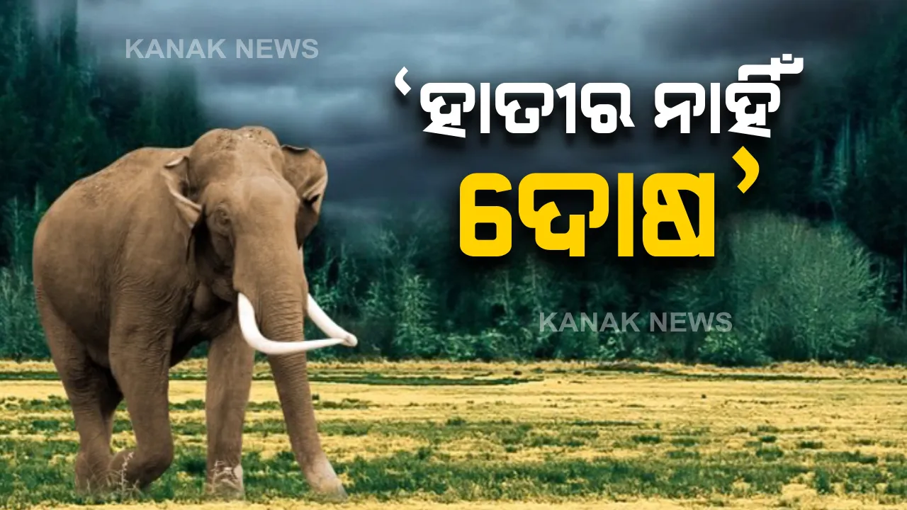  ନରହନ୍ତା ଦନ୍ତାକୁ ନେଇ ପିସିସିଏଫ ହରିଶଙ୍କର ଉପାଧ୍ୟାୟଙ୍କ ପ୍ରତିକ୍ରିୟା: କହିଲେ, ହାତୀର କୌଣସି ଦୋଷ ନାହିଁ, ଲୋକେ ସାମ୍ନାକୁ ପଳାଇ ଆସିବାରୁ ଘଟିଛି ଅଘଟଣ