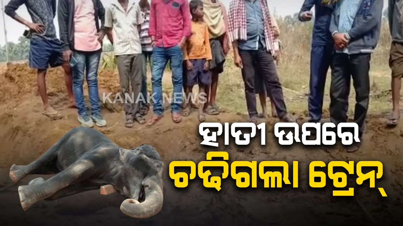  ଢ଼େଙ୍କାନାଳରେ ଅଘଟଣ: କୁନି ହାତୀ ଛୁଆ ଉପରେ ଚଢ଼ିଗଲା ଲୌହଦାନବ, ଘଟଣାସ୍ଥଳରେ ହାତୀ ଛୁଆର ମୃତ୍ୟୁ ।