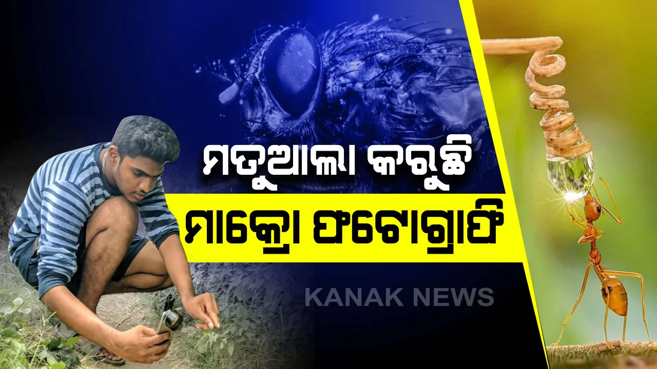  ମତୁଆଲା କରୁଛି ମାକ୍ରୋ ଫଟୋଗ୍ରାଫି : ଯୁବ ଫଟୋଗ୍ରାଫରଙ୍କ ଆକର୍ଷଣୀୟ ପ୍ରତିଭା , ମୋବାଇଲ୍ ମାଧ୍ୟମରେ ଉତ୍ତୋଳନ କରନ୍ତି ମାକ୍ରୋ ଫଟୋ । 