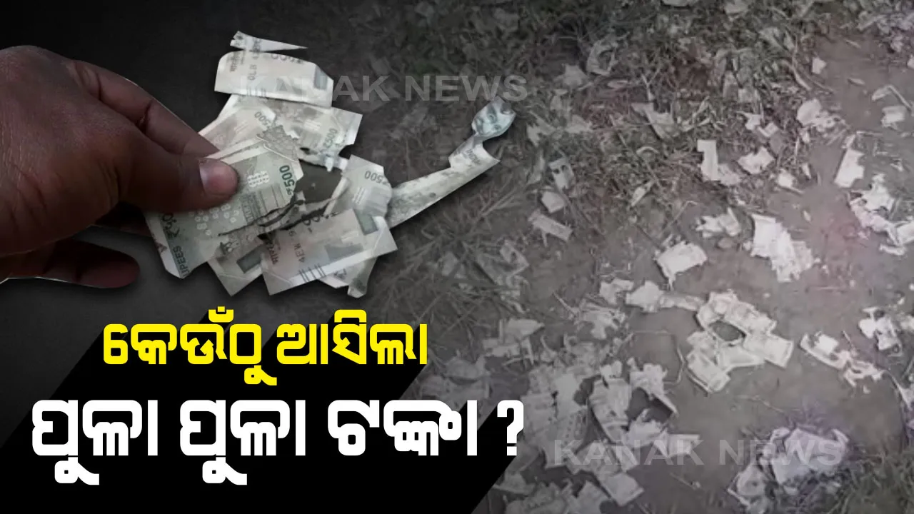  ସମ୍ବଲପୁର ତୁମ୍ବେସିଂହା ପୋଲତଳେ ପଡିଛି ପୁଳାପୁଳା ନୋଟ୍ : ଖଣ୍ଡଖଣ୍ଡ ହୋଇ ପଡିଛି ୫୦୦ ଟଙ୍କିଆ ନୋଟ୍,  କିଏ ଓ କାହିଁକି ଫୋପାଡିଲା ତଦନ୍ତ କରୁଛି ପୁଲିସ
