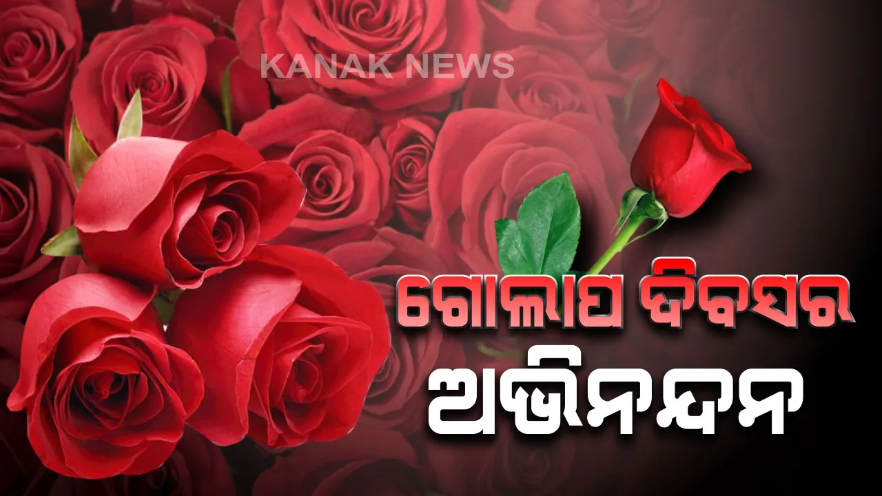 ଗୋଲାପ ଦିବସର ଅଭିନନ୍ଦନ : ହଳଦିଆ , କମଳା ,ଧଳା ରଙ୍ଗର ଗୋଲାପ ଭିତରେ ଆଜି ଆକର୍ଷଣର କେନ୍ଦ୍ରବିନ୍ଦୁ ପାଲଟିବ ଲାଲ୍ ଗୋଲାପ । 