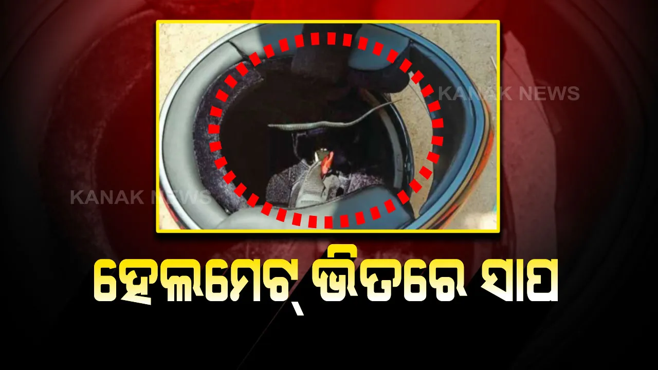  ସାପ ସହ ୧୧ କି.ମିର ଯାତ୍ରା : ହେଲମେଟ୍ ଭିତରେ ପଶିଥିଲା ବିଷାକ୍ତ ସାପ , ମରୁ ମରୁ ବଂଚିଲେ ଶିକ୍ଷକ ।