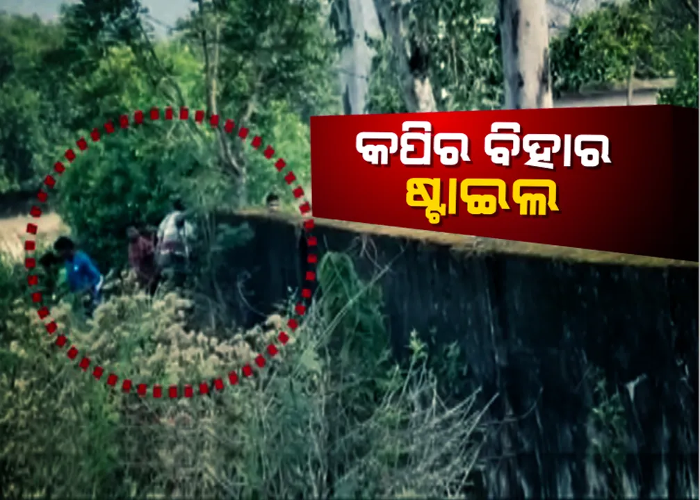  ଫେଲ୍ ମାରିଲା ଗଣଶିକ୍ଷା ବିଭାଗର ଦମ୍ଭୋକ୍ତି: ଢେଙ୍କାନାଳ ପରେ ଦେବଗଡ଼ରୁ ଆସିଲା ମାଟ୍ରିକ୍ ପରୀକ୍ଷାରେ କପିର ବିହାର ଷ୍ଟାଇଲ । ପାଚେରୀ ଡେଇଁ ଅଭିଭାବକ ଦେଉଛନ୍ତି କପି, ସ୍କୁଲ କର୍ମଚାରୀ ସାମିଲ୍ ଥିବା ଅଭିଯୋଗ ।