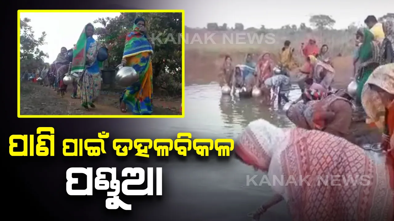  ଖରା ଦିନ ଆଗରୁ ଜଳକଷ୍ଟ: ପାଣି ଟୋପେ ପାଇଁ ଡହଳ ବିକଳ ପଣ୍ଡୁଆ ଗାଁ ଲୋକେ, ପିଇବା ପାଣି ପାଇଁ ପୋଖରୀ ପାଲଟିଛି ଭରସା ।