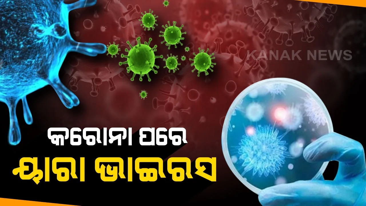  କରୋନା ପରେ ଆସିଲା ଆଉ ଏକ ରହସ୍ୟମୟ ଭାଇରସ ୟାରା । ବ୍ରାଜିଲର ବୈଜ୍ଞାନିକଙ୍କ ଦ୍ୱାରା ହେଲା ଚିହ୍ନଟ ।