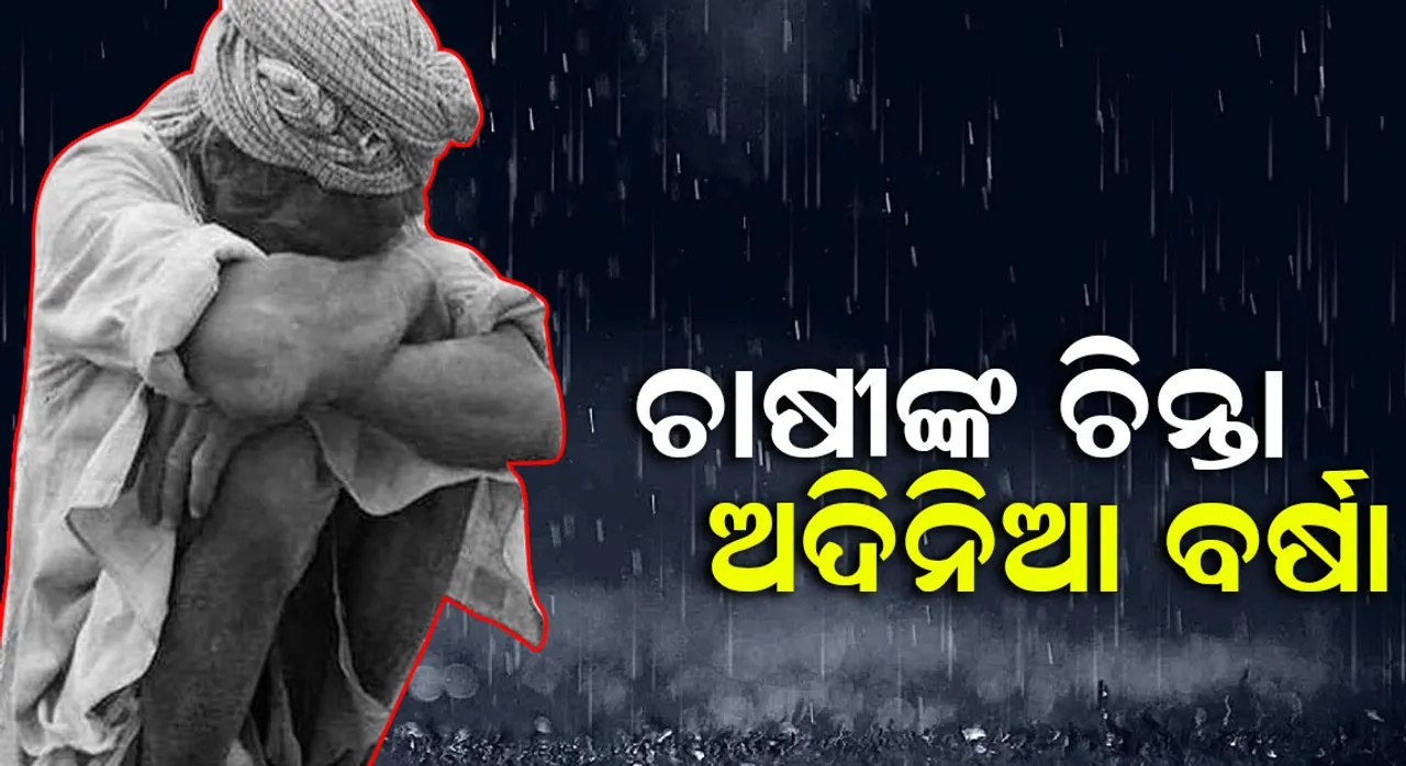  ନବରଙ୍ଗପୁର ଚାଷୀଙ୍କୁ କାଳ ହେଲା ଅଦିନିଆ ବର୍ଷା : ଲଗାଣ ବର୍ଷା ଯୋଗୁଁ ମଣ୍ଡିରେ ପଡିଥିବା ଶହ ଶହ କ୍ୱିଂଟାଲ ଧାନ ନଷ୍ଟ, ଟୋକନ ମିଳିନଥିବାରୁ ବଢୁଛି ଚାଷୀଙ୍କ ସମସ୍ୟା