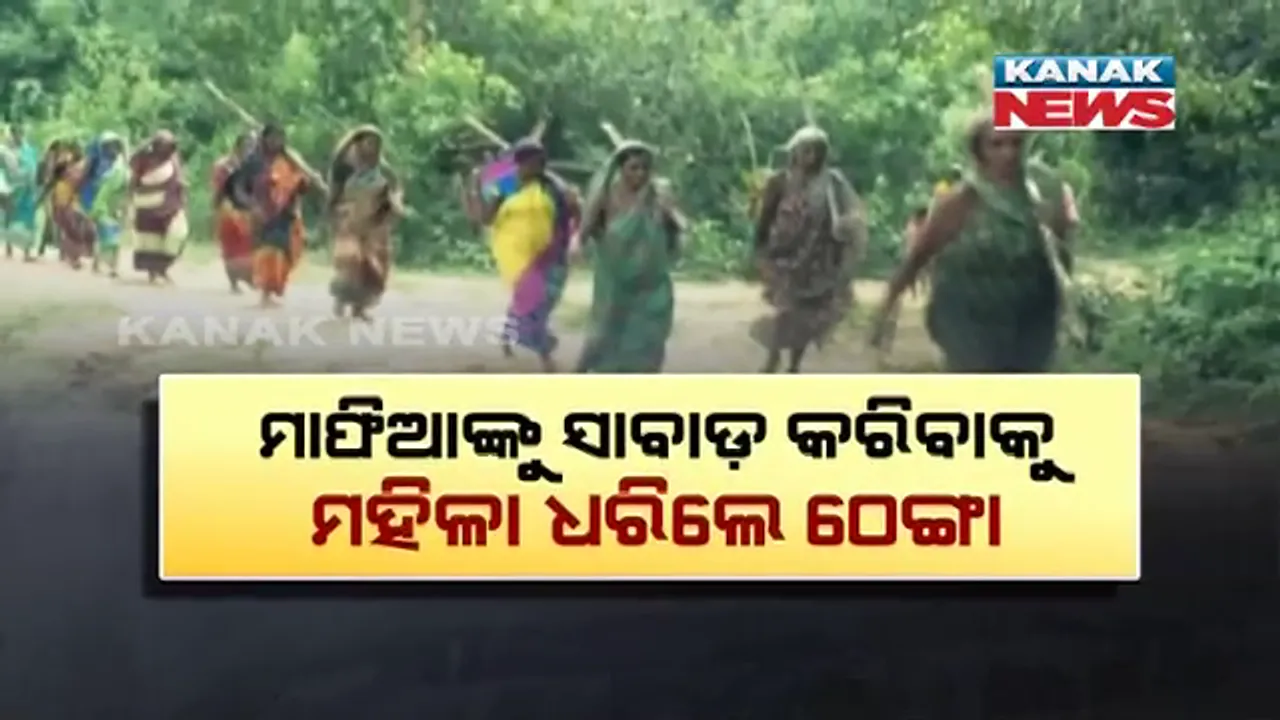  ଗାଁ ମହିଳାଙ୍କ ଜଙ୍ଗଲ ଜମି ସୁରକ୍ଷା ଚିନ୍ତା ! ମାଫିଆଙ୍କୁ ସାବାଡ଼ କରିବାକୁ ହାତରେ ଠେଙ୍ଗା ଧରି ବାହାରିଲେ ମହିଳା