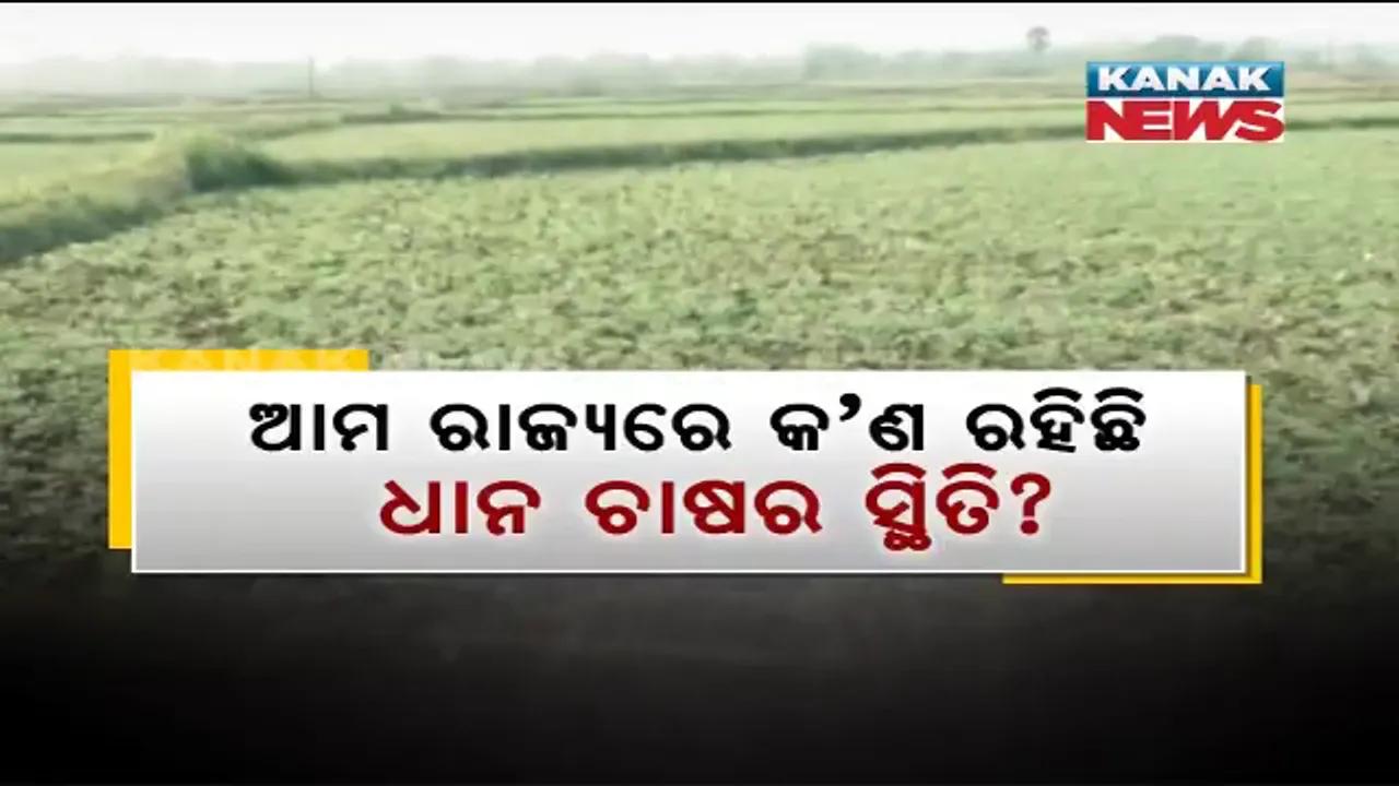  କାହିଁକି ଚାଷ ପ୍ରତି ଆକୃଷ୍ଟ ହେଉ ନାହାନ୍ତି ଯୁବପୀଢ଼ି? ଆମ ରାଜ୍ୟରେ ଖାସ୍ ଲାଭ ହେଉନଥିବା ଯୋଗୁ ଚାଷ ବିମୁଖ କି ଚଷା ଭାଇ ?