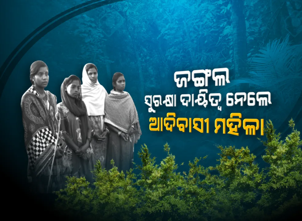  ଆଉ ଚଳିବନି ଜଙ୍ଗଲରେ ମାଫିଆଙ୍କ ରାଜ୍ । ଜଙ୍ଗଲ ସୁରକ୍ଷା ଦାୟିତ୍ୱ ନେଲେ ଆଦିବାସୀ ମହିଳା । ମାଁ ଭଗବତୀ ସଂଗଠନ ଗଢି ପାଳି ପାଳି କରି ଜଗୁଛନ୍ତି ଜଙ୍ଗଲ