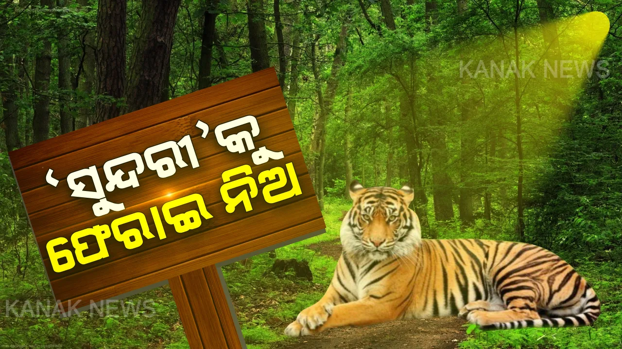  ମଧ୍ୟପ୍ରଦେଶ ବନବିଭାଗକୁ ଚିଠି ଲେଖିଲେ ଓଡ଼ିଶା ସରକାର । କହିଲେ, ଯେତେ ଶୀଘ୍ର ପାରୁଛ ସୁନ୍ଦରୀକୁ ଫେରାଇ ନିଅ,ବାଘୁଣୀ ସୁସ୍ଥ ଓ ସ୍ଥିର ଥିବା ନେଇ ଚିଠିଲେ ଉଲ୍ଲେଖ