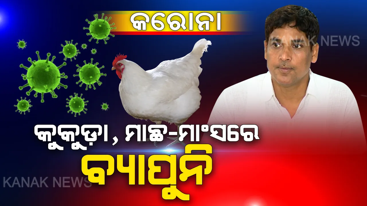  ଚିକେନ୍ କିମ୍ବା ଅଣ୍ଡା ଖାଇଲେ ବ୍ୟାପୁନି କରୋନା ଭାଇରସ୍ : ଗୁଜବ ଉପରେ ବିଶ୍ୱାସ ନକରିବାକୁ କୃଷିମନ୍ତ୍ରୀଙ୍କ ଅନୁରୋଧ