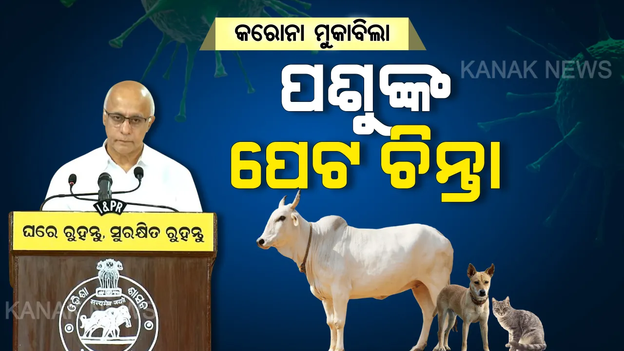  ଖାଲି ରହିବନି ପଶୁଙ୍କ ପେଟ । ଖୋଲା ରହିବ ପଶୁ ଖାଦ୍ୟ ଦୋକାନ ସହ ପଶୁ ଚିକିତ୍ସାଳୟ । ବୁଲା କୁକୁର ଓ ଗୋରୁଙ୍କ ପାଇଁ କାଲି ସରକାର ଦେଇଥିଲେ ୫୪ ଲକ୍ଷ