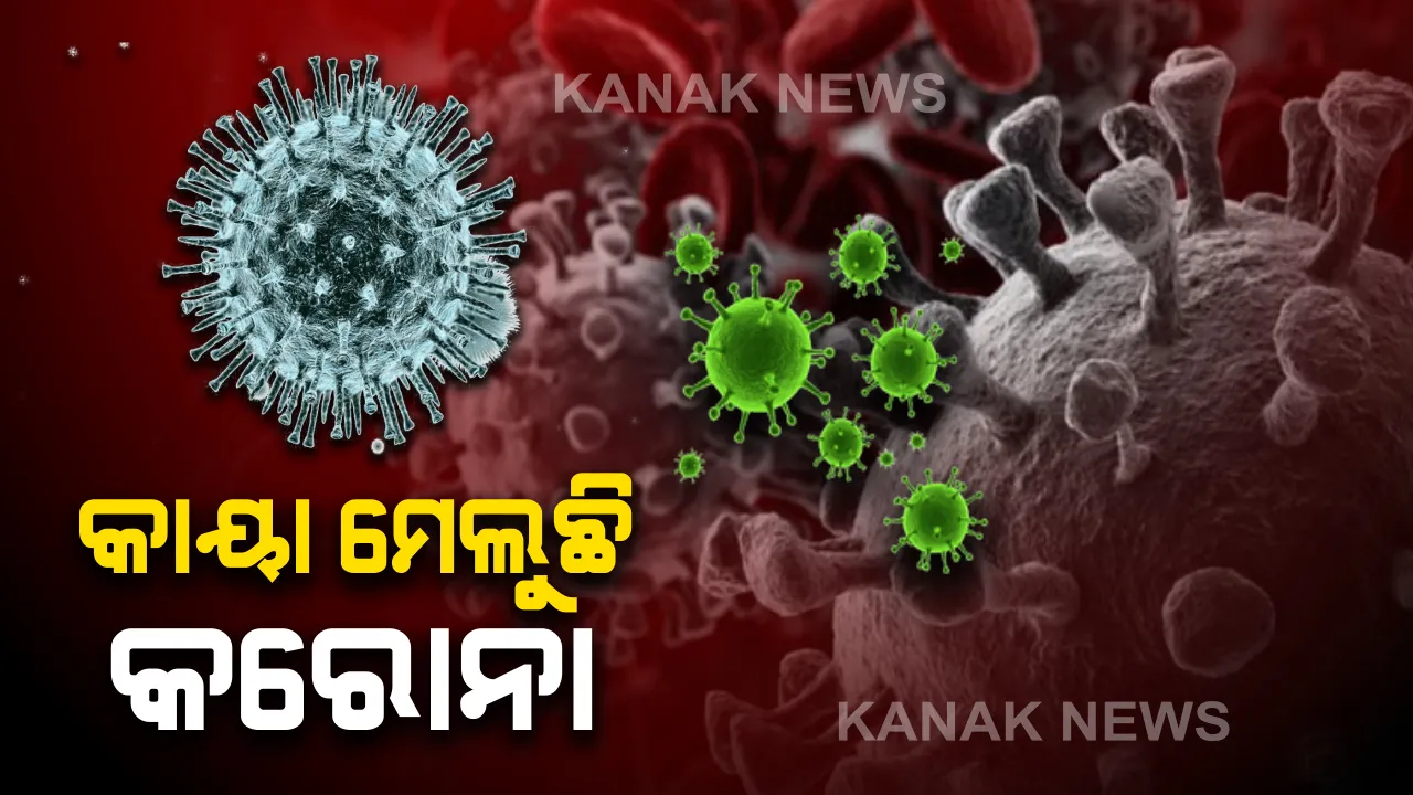  ଦେଶରେ କରୋନା ଆକ୍ରାନ୍ତଙ୍କ ସଂଖ୍ୟା ୧୨ ଶହ ଟପିଲା । ଗୋଟିଏ ଦିନରେ ୨ଶହ ୨୭ ନୂଆ ଆକ୍ରାନ୍ତ ଚିହ୍ନଟ, ୩୦ ଡେଇଁଲା କରୋନାରେ ମୃତ୍ୟୁ ସଂଖ୍ୟା