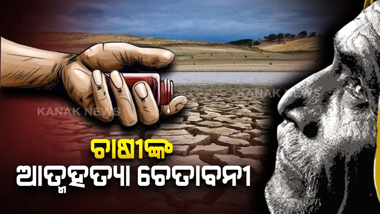  ଘର ପଛପଟେ ପଡ଼ିରହିଛି ବର୍ଷକର ପରିଶ୍ରମ : ଟୋକନ୍ ନମିଳିବାରୁ ବିକ୍ରି ହେଇ ପାରୁନି ଧାରକରଜ କରି ଅମଳ କରିଥିବା ଧାନ, ସମସ୍ୟା ସମାଧାନ ନହେଲେ ଆତ୍ମହତ୍ୟା କରିବାକୁ ଧମକ ଦେଲେ ଚାଷୀ