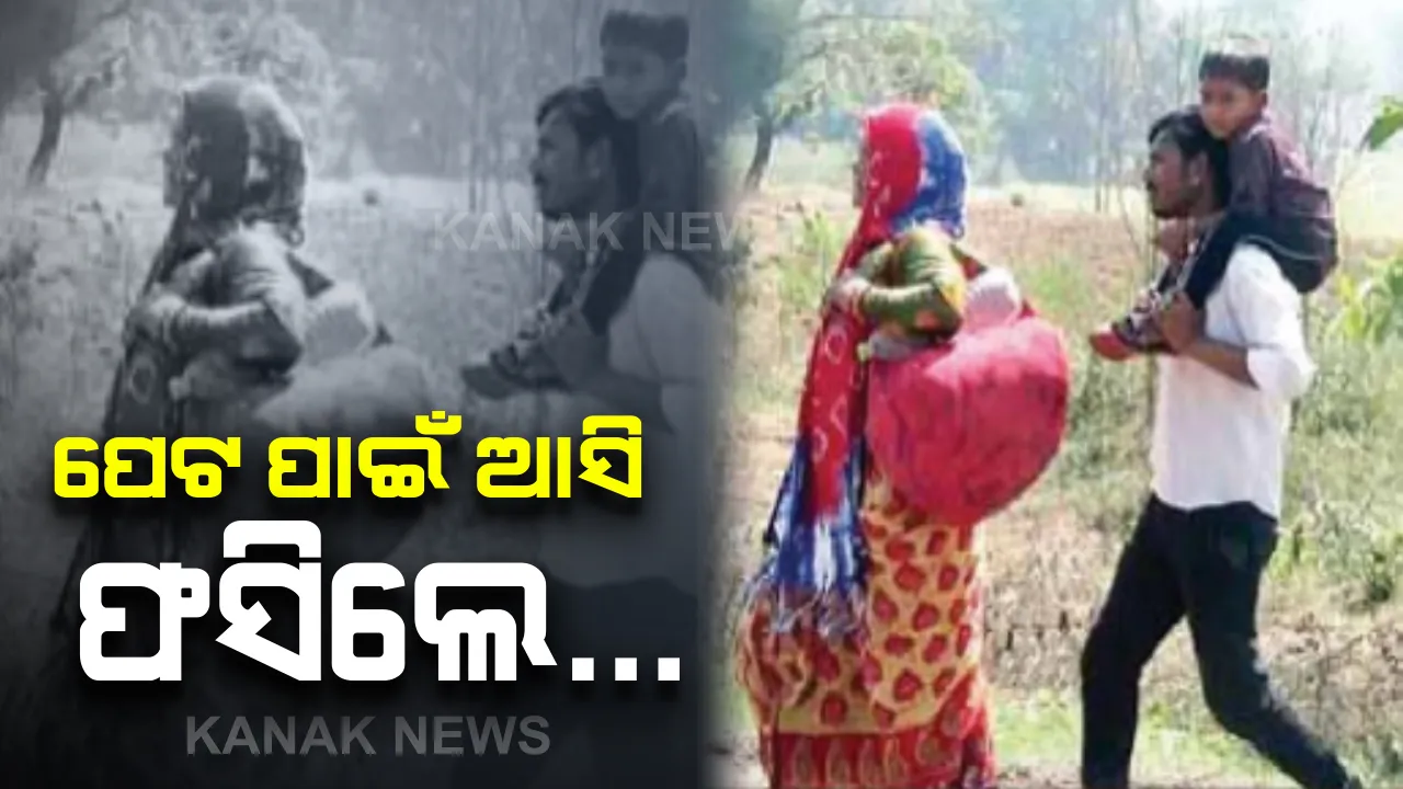  ବାପା କାନ୍ଧରେ ବସିଛି ପୁଅ...ମାଆ କାନ୍ଧରେ ଜୀବନ ଜୀବିକାର ବୋଝ: ଲକଡାଉନ୍ ଘୋଷଣା ପରେ ୧୨୦୦ କିମି ରାସ୍ତା ଚାଲି ଚାଲି ଉତ୍ତରପ୍ରଦେଶ ଗଲେ ଦମ୍ପତି