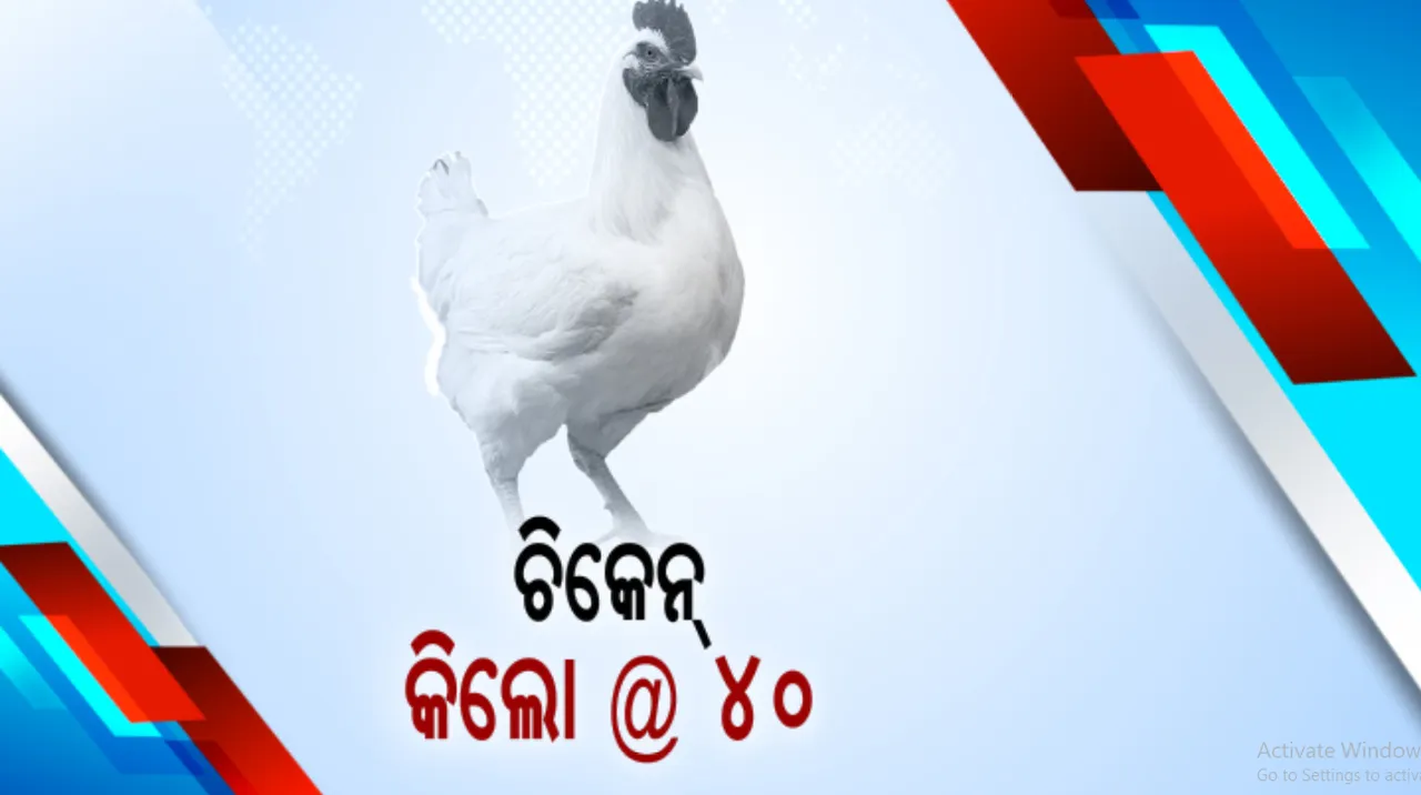  ସୋରରେ ପକ୍ଷୀ ମଡକ ପରେ କମିଲା କୁକୁଡା ଦର । କିଲୋ ପିଛା ୪୦ ଟଙ୍କାରେ ବିକ୍ରି ହେଉଛି ଚିକେନ୍ । ଲୋକଙ୍କ ଭିତରେ ବାର୍ଡଫ୍ଲୁ ଛନକା