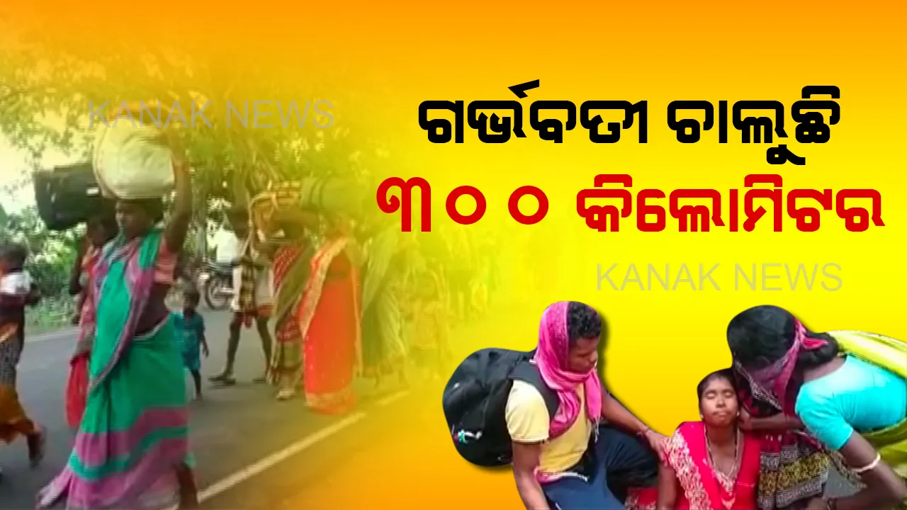  ତାଲାବନ୍ଦ, ମିଳୁନି କାମ । ବଢ଼ୁଛି ଶ୍ରମିକଙ୍କ ଦୁଃଖ, ବ୍ରହ୍ମପୁରରୁ ଚାଲି ଚାଲି ବଲାଙ୍ଗିର ଓ ବରଗଡ଼କୁ ଯିବାକୁ ଅଣ୍ଟା ଭିଡିଲେ ୮୧ ଜଣ ଶ୍ରମିକ, ୩୦୦ କିଲୋମିଟର ବାଟ ଚାଲିବାକୁ ବାହାରିଲେ ଶିଶୁ ଓ ଗର୍ଭବତୀ ମହିଳା ।