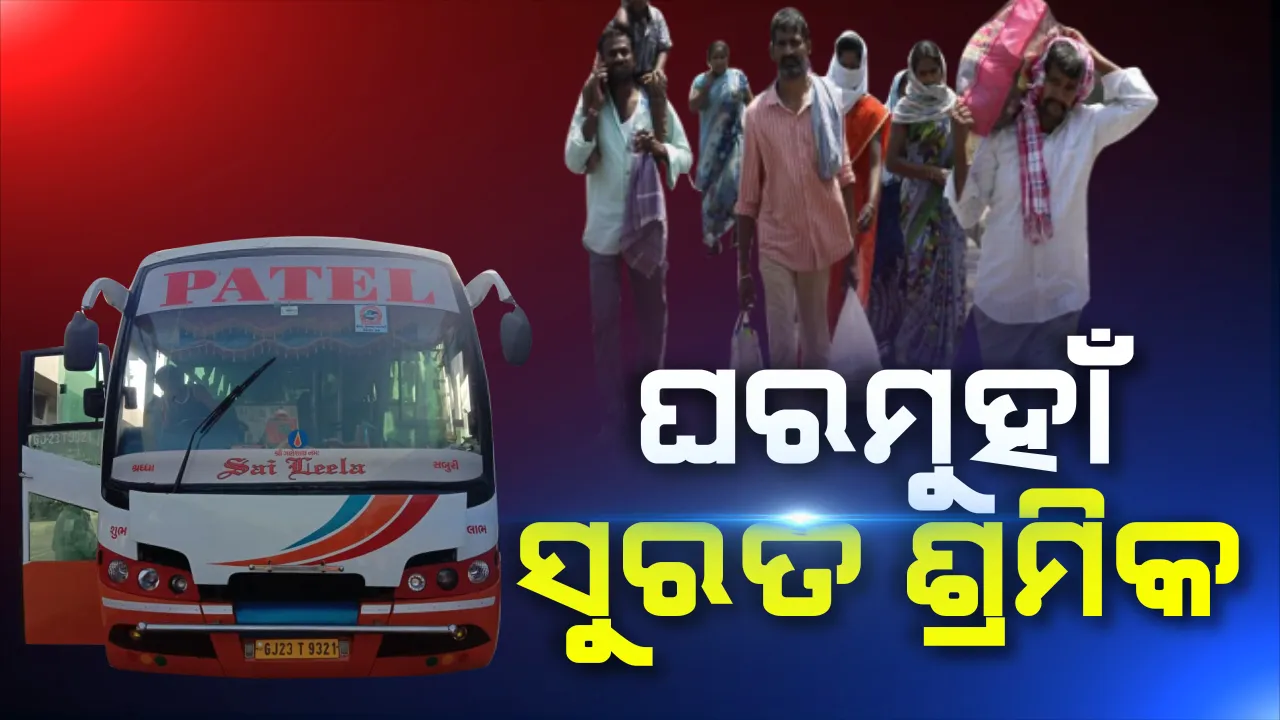  ସୁରଟରୁ ଓଡିଶା ଅଭିମୁଖେ ଆଜି ଆସୁଛି ଗୋଟିଏ ବସ୍ । ସୁରଟ ପ୍ରଶାସନର ଅନୁମତି ପତ୍ର ପାଇବା ପରେ ଆରମ୍ଭ ହେଲା ଯାତ୍ରା, ବସ୍ ରେ ଅଛନ୍ତି ଭଦ୍ରକ ଓ କେନ୍ଦ୍ରାପଡା ଜିଲ୍ଲାର ୫୬ ଯାତ୍ରୀ