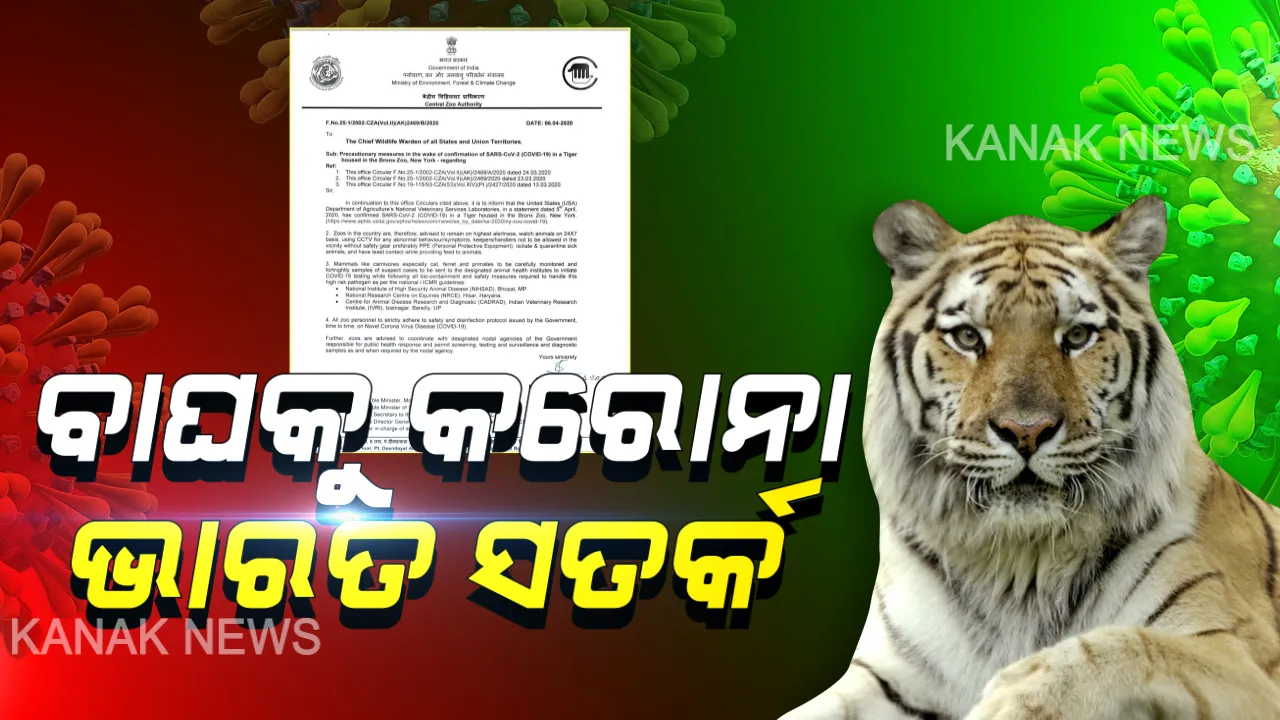  ଆମେରିକା ବାଘ ଦେହରେ କରୋନା ଭୂତାଣୁ ପରେ ସତର୍କ ଭାରତ ସରକାର: ଚିଡିଆଖାନାରେ ପଶୁପକ୍ଷୀଙ୍କ ଉପରେ ୨୪ଘଂଟିଆ ନଜର ରଖିବାକୁ ମୁଖ୍ୟ ବନ୍ୟପ୍ରାଣୀ ସଂରକ୍ଷକଙ୍କୁ ନିର୍ଦ୍ଦେଶ