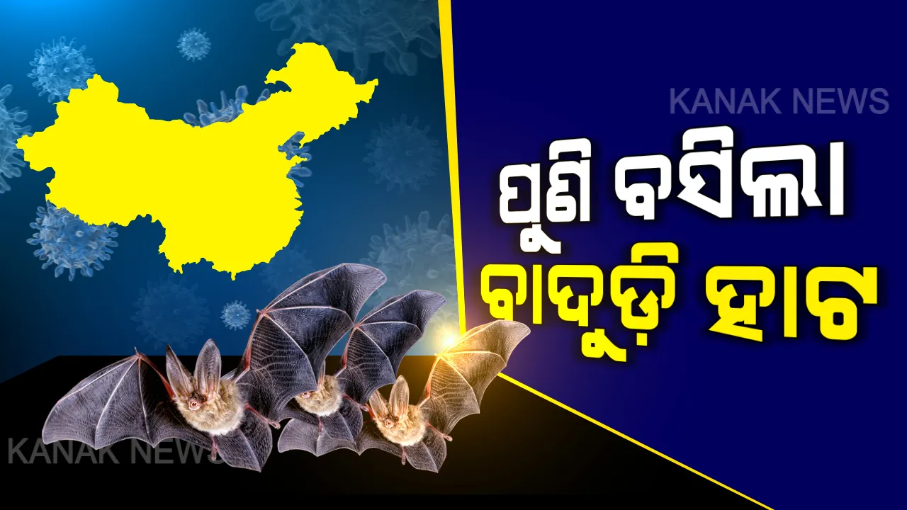  ପୁଣି ଚୀନରେ ଖୋଲିଲା ମାଂସ ମାର୍କେଟ୍ । ବିକ୍ରି ହେଲା ବାଦୁଡି, ବଜ୍ରକାପ୍ତା ଓ କୁକୁର ମାଂସ । ଏହି ମାର୍କେଟରୁ ଭୂତାଣୁ ଜନ୍ମନେଇଥିବା ନେଇ ହୋଇଥିଲା ସନ୍ଦେହ ।