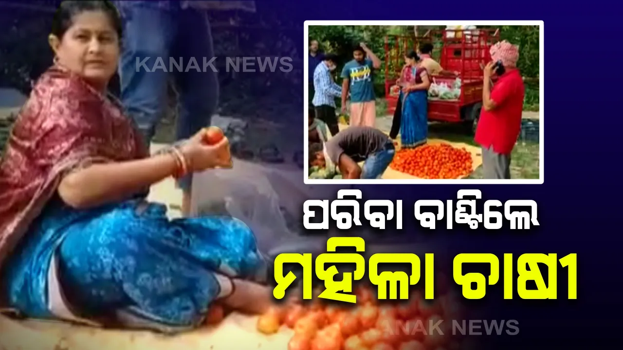  ବିପଦ ବେଳର ବନ୍ଧୁ ସାଜିଲେ ଭଦ୍ରକ ବାସୁଦେବପୁରର ମହିଳା ଚାଷୀ । ନିଜ କ୍ଷେତରେ ଫଳାଉଥିବା ସୁନାର ଫସଲକୁ ବିକ୍ରି ନକରି ଲୋକଙ୍କୁ ବାଂଟୁଛନ୍ତି ଛାୟାରାଣୀ