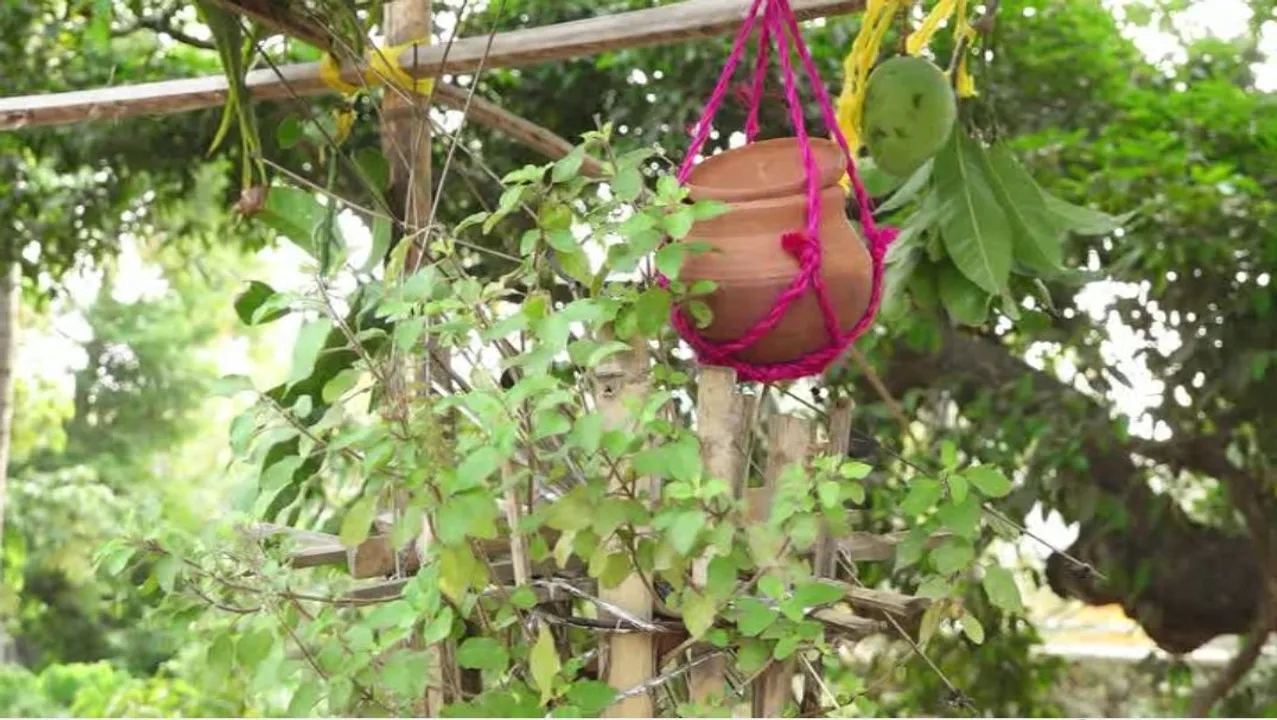  ଆଜି ମହା ବିଷୁବ ସଂକ୍ରାନ୍ତି ତଥା ଓଡିଆ ନବବର୍ଷ । ଶ୍ରୀମନ୍ଦିରରେ ସ୍ୱତନ୍ତ୍ର ନୀତିକାନ୍ତି । କରୋନା କଟକଣା ପାଇଁ ଜମିବନି ପଣା, ଫିକା ପଡିବ ବିଷୁବ ମିଳନ