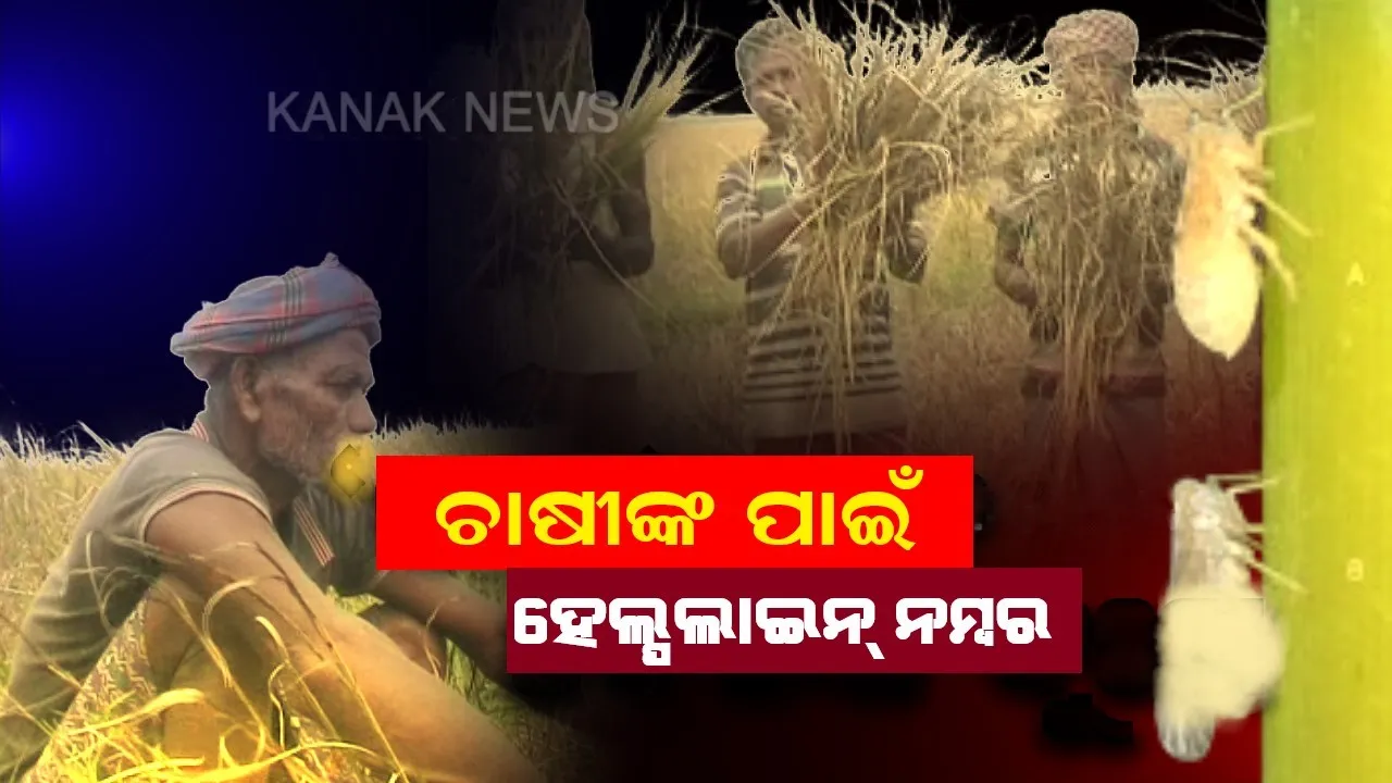  ତାଲାବନ୍ଦ ବେଳେ ଅଟକିବନି ଚାଷୀ ଭାଇର କାମ । ସମସ୍ୟାର ସମାଧାନ ପାଇଁ ସରକାର ଜାରି କଲେ ହେଲ୍ପଲାଇନ୍ ନମ୍ବର...