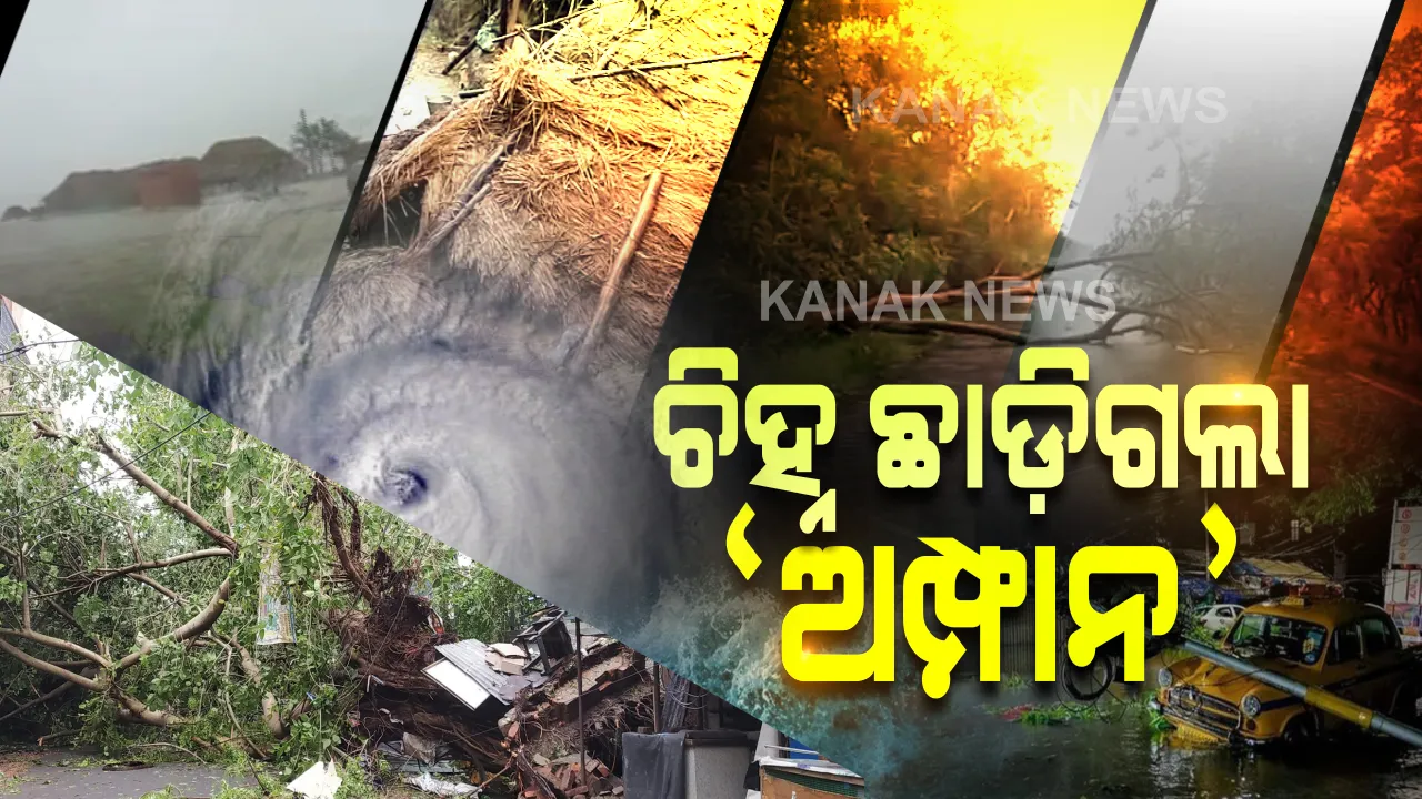  ଝଡ଼ ଛାଡ଼ିଗଲା, ଚିହ୍ନ ରହିଗଲା । ବାତ୍ୟା ଚାଲିଯିବା ପରେ ଆସିଲା ବିଭୀଷିକାର ଚିତ୍ର । ଉପୁଡି ପଡିଲା ବଡ ବଡ ଗଛ ଓ ବିଦ୍ୟୁତ ଖୁଣ୍ଟ