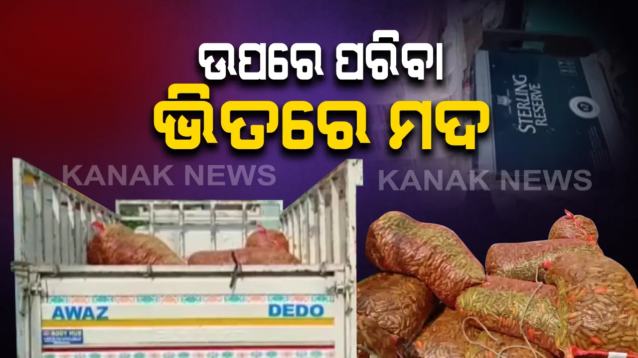  ଉପରେ ପରିବା ଭିତରେ ମଦ! ଯାଜପୁରରୁ ପରିବା ମାର୍କେଟରୁ ଜବତ ହେଲା ପେଟି ପେଟି  ମଦ: ପଶ୍ଚିମବଙ୍ଗରୁ ଆସୁଥିଲା ଯାଜପୁର