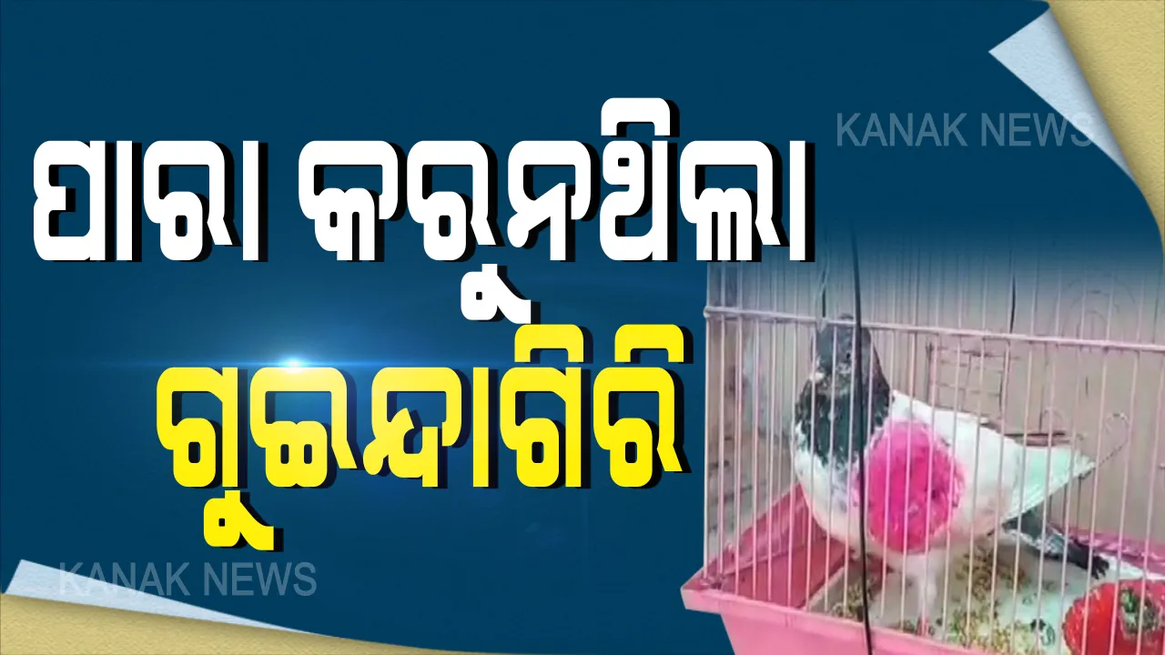  ପାକିସ୍ତାନର ଗୁଇନ୍ଦା ପାରାକୁ ନେଇ ଆସିଲା ରୋଚକ ତଥ୍ୟ: ପାରା କରୁନଥିଲା ଗୁଇନ୍ଦାଗିିରି; ପାକିସ୍ତାନର ଜଣେ ମତ୍ସ୍ୟଜୀବୀଙ୍କ ପାରା ହୋଇଥିବାରୁ ଛାଡିଦେଲା ଭାରତ