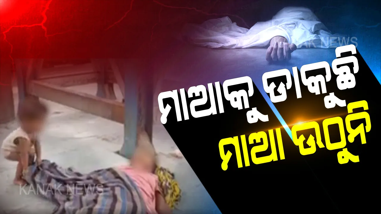  ମରିପଡ଼ିଛି ମାଆ, ଶବ ପାଖରେ ଖେଳୁଛି ଛୁଆ । ଭୂତାଣୁ ନୁହେଁ ତା’ ଭୋକରେ ମରିଛି ମାଆ । କୁନିପୁଅ ଜାଣିନି, ଯେତେ ଚିକ୍ରାର କଲେ ବି ମାଆ ଆଉ ଜମା ଉଠିବନି । ଏମିତି ଏକ ଚିତ୍ର ଆପଣଙ୍କ ହୃଦୟ ବି ଦୋହଲାଇଦେବ ଦୁନିଆ କ’ଣ ଜାଣିନଥିବା ଦେଢ଼ବର୍ଷର କୁନିପୁଅର କାହାଣୀ କନ୍ଦେଇ ଦେବ...