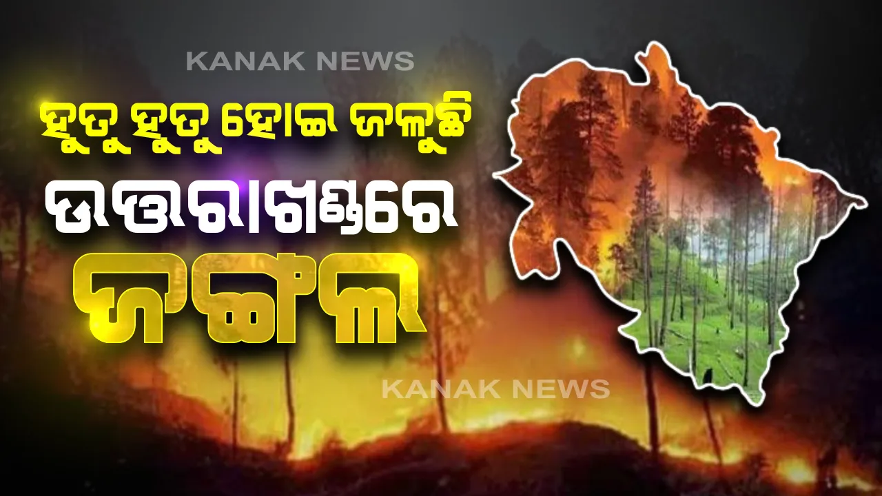  ନିଆଁ ଆଁରେ ପୂରା ଜଙ୍ଗଲ: ସପ୍ତାହେ ହେଲା ଜଳୁଛି ଉତ୍ତରାଖଣ୍ଡରେ ଜଙ୍ଗଲ...ପ୍ରଚଣ୍ଡ ଖରାରେ ଜଳିଉଠିଲା ବୃହତକାୟ ଜଙ୍ଗଲ, ନିଆଁରେ ପୋଡି ପାଉଁଶ ହୋଇଗଲା ହେକ୍ଟର ହେକ୍ଟର ଜମି, ବିପଦରେ ବନ୍ୟଜନ୍ତୁ