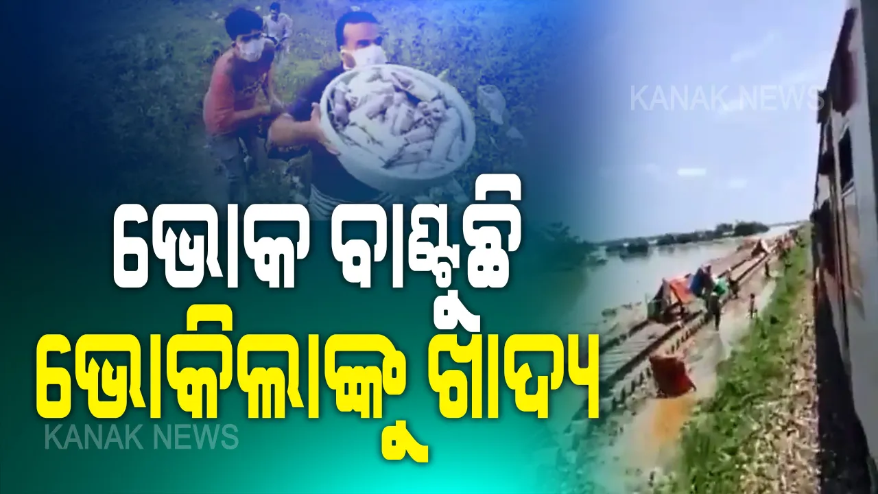  ଭୋକ ଯେବେ ଭଗବାନ ସାଜେ...ଭୋକିଲା ବୁଝିଲା ଭୋକିଲାର ପେଟ କଥା । ନିଜେ ପାଣି ପିଇ ଅନ୍ୟକୁ ଖାଦ୍ୟ ପୁଡିଆ ଦେଲେ, ବନ୍ୟା ବିପନ୍ନଙ୍କ ଜୀବନ ବଞ୍ଚାଇଲେ । ଦେଖନ୍ତୁ ଟ୍ରାକରେ ଗଡୁଥିବା ଭୋକ କେମିତି ସାଜିଲା ଭଗବାନ...