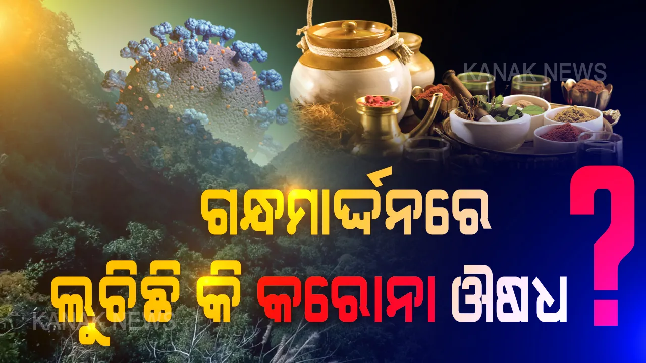  ଓଡ଼ିଶାରେ ଲୁଚିଛି କି କରୋନା ଔଷଧ ? ନୂଆ ସମ୍ଭାବନା ନେଇ ଆଗକୁ ବଢୁଛି ଓଡ଼ିଶା...ଔଷଧୀୟ ଗୁଣରେ ଭରା ଗନ୍ଧମାର୍ଦ୍ଦନ ପର୍ବତରେ ମିଳିବ କି କରୋନା ମେଡିସିନ୍? ପୁରାଣ କୁହେ ଏହି ପର୍ବତ ହିଁ ଲକ୍ଷ୍ମଣଙ୍କ ପାଇଁ ସାଜିଥିଲା ସଞ୍ଜୀବନୀ, ଏବେ ବିଶେଷଜ୍ଞଙ୍କ ନଜରରେ ଗନ୍ଧମାର୍ଦ୍ଦନ