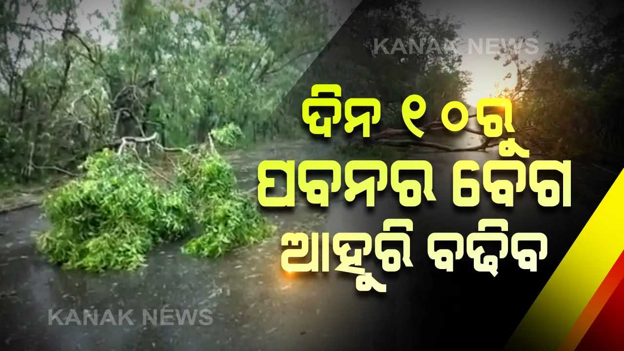  ଦିନ ୧୦ ଟାରୁ ତୀବ୍ର ହେବ ପବନର ବେଗ । ପାରାଦୀପରେ ସର୍ବାଧିକ ୧୯୭.୧ମିମି ବର୍ଷା ରେକର୍ଡ । ସନ୍ଧ୍ୟା ବେଳେ ବଢ଼ିବ ବାଲେଶ୍ୱର ଓ ଭଦ୍ରକରେ ବର୍ଷାର ପରମାଣ