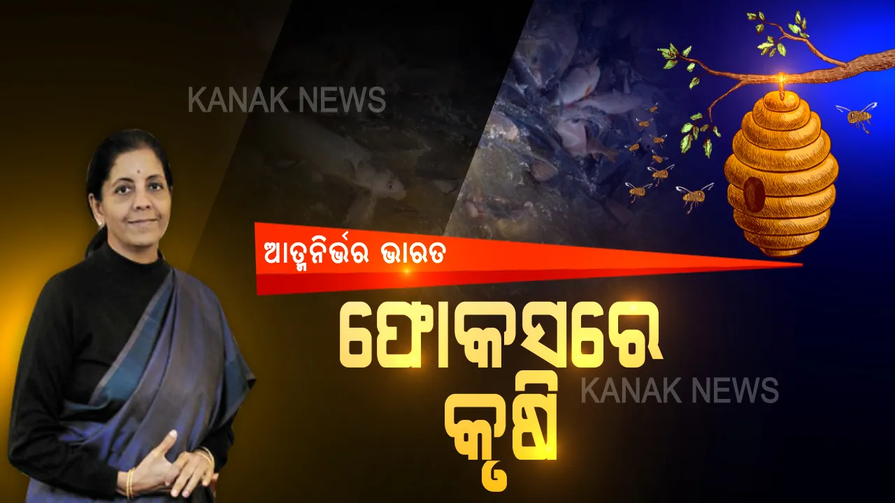  ଆତ୍ମନିର୍ଭର ଭାରତ ଅଭିଯାନର ତୃତୀୟ ସେଟ୍ ଖୋଲିଲେ ସୀତାରମଣ । କୃଷି ଭିତ୍ତିଭୂମି ବିକାଶ ପାଇଁ ୧ ଲକ୍ଷ କୋଟିର ପ୍ୟାକେଜ । ମତ୍ସ୍ୟଠୁ ମହୁଚାଷ ପର୍ଯ୍ୟନ୍ତ ପ୍ୟାକେଜରେ ଫୋକସ । ଲୋକାଲ ଜିନିଷକୁ ଗ୍ଲୋବାଲ କରିବାକୁ ଗୁରୁତ୍ୱ