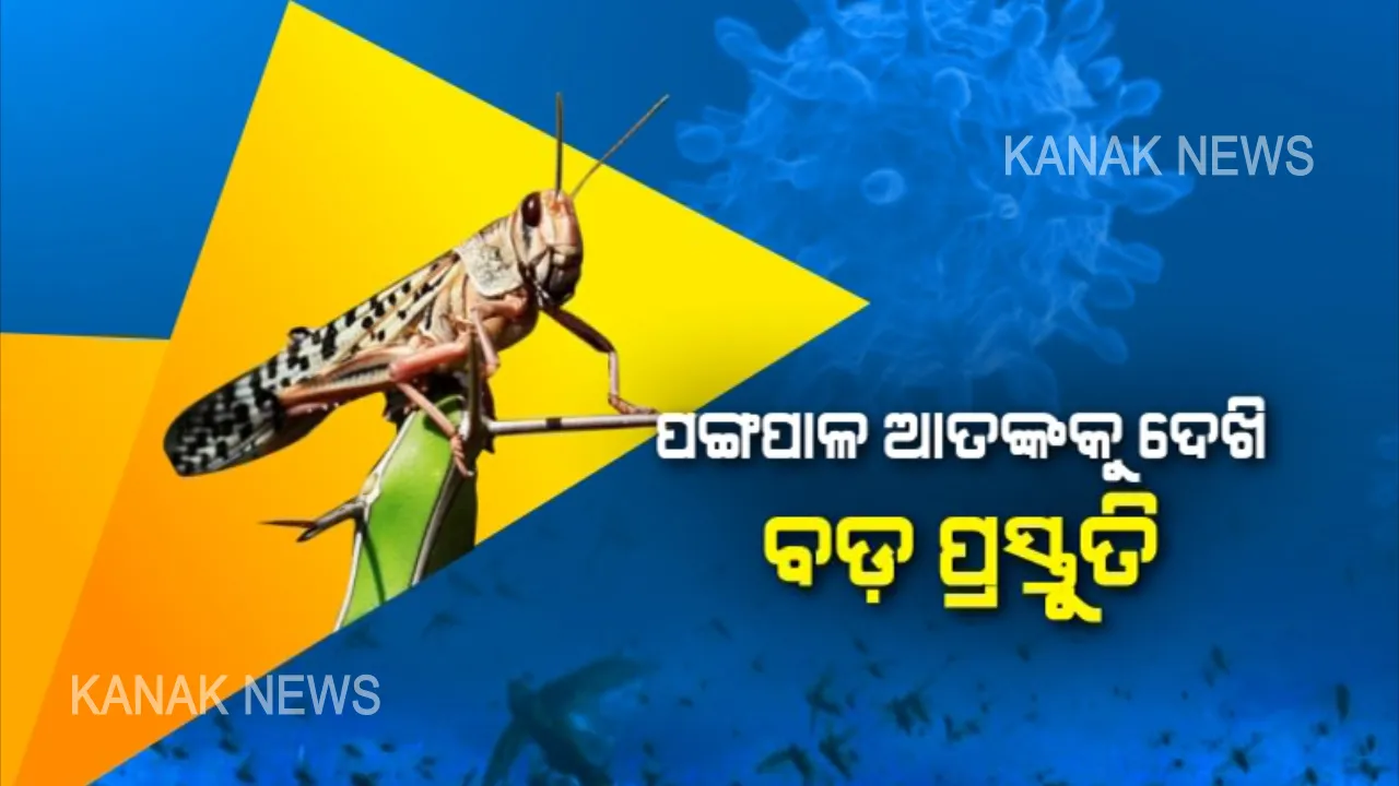  ଓଡିଶାରେ ସମ୍ଭାବ୍ୟ ପଙ୍ଗପାଳ ଆକ୍ରମଣ ନେଇ ଗୁରୁତ୍ୱପୂର୍ଣ୍ଣ ବୈଠକ । ମନ୍ତ୍ରୀଙ୍କ ଅଧ୍ୟକ୍ଷତାରେ କୃଷି ବିଭାଗର ବରିଷ୍ଠ ପଦାଧିକାରୀଙ୍କ ସହ ଆଲୋଚନା, ଚାଷୀଙ୍କ ଫସଲକୁ ସୁରକ୍ଷା ଦେବା ନେଇ ବଡ଼ଧରଣ ମନ୍ଥନ । 