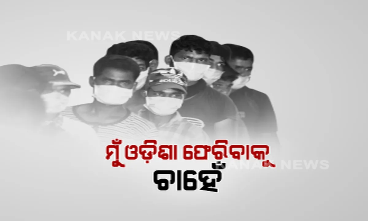  ପ୍ରାଇମ ଟାଇମ ବୁଲେଟିନ : ୧୨/୦୫/୨୦୨୦