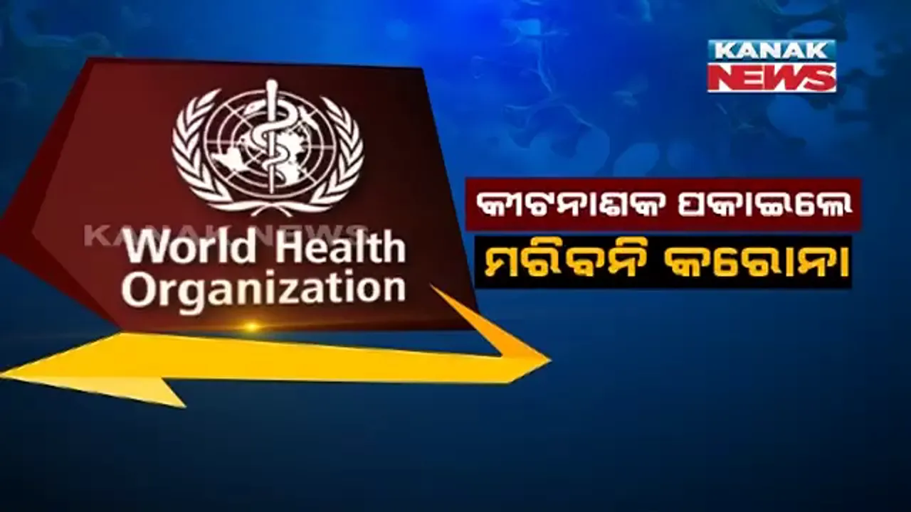  କୀଟନାଶକ ପକାଇଲେ ମରିବନି କରୋନା । ବିଶ୍ୱ ସ୍ୱାସ୍ଥ୍ୟ ସଙ୍ଗଠନର ଚେତାବନୀ, ରାସ୍ତାଘାଟ, ବଜାରରେ ରାସାୟନିକ ସିଞ୍ଚନ କଲେ ମଣିଷ ଉପରେ ପଡିବ କୁପ୍ରଭାବ ।