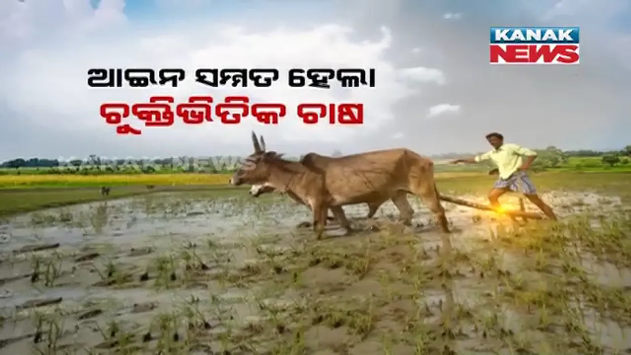  କୃଷି କ୍ଷେତ୍ରରେ ପୁଞ୍ଜିନିବେଶକୁ ବ୍ୟାପକ କରିବା ପାଇଁ ରାସ୍ତା ଖୋଲିଲେ ରାଜ୍ୟ ସରକାର । ଚୁକ୍ତି ଭିତ୍ତିକ ଚାଷ ପାଇଁ ଆସିଲା ଅର୍ଡିନାନ୍ସ, କୃଷି ଜମି ନେଇପାରିବେ କର୍ପୋରେଟ୍ ।