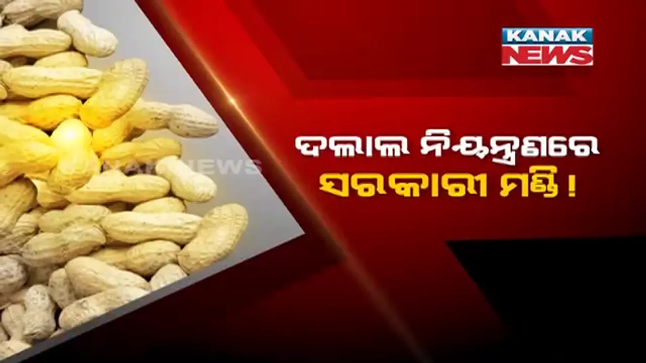  ମଣ୍ଡିରୁ ଉଠୁନି କିନ୍ତୁ ଦଲାଲ ମାନଙ୍କ ଘରୁ ଉଠୁଛି । ଅସାଧୁ ବ୍ୟବସାୟୀଙ୍କ ଘରୁ ସିଧା ଗୋଦାମକୁ ଯାଉଛି ଟ୍ରକ ଟ୍ରକ ବାଦାମ । ଅଭିଯୋଗ କି, ପ୍ରଶାସନ-ଦଲାଲଙ୍କ ମଧୂଚନ୍ଦ୍ରିକା ଯୋଗୁଁ ଚିନ୍ତାରେ ଚିନା ବାଦାମ ଚାଷୀ ।
