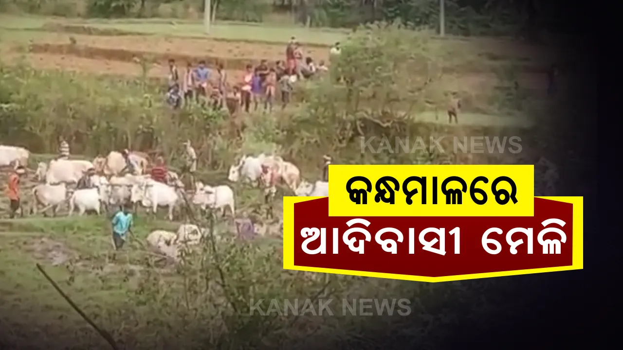  କନ୍ଧମାଳର ବ୍ରାହ୍ମଣୀ ନୂଆଗାଁ ଅଞ୍ଚଳରେ ଆଦିବାସୀଙ୍କ ମେଳି । ଜୋରଜବରଦସ୍ତ ଦଳିତଙ୍କ  ବିଲରେ ପଶି କଲେ ହଳ । ଥାନାରେ ଏତଲା । ତଦନ୍ତ ପରେ କାର୍ଯ୍ୟାନୁଷ୍ଠାନ ପ୍ରତିଶ୍ରୃତି ।