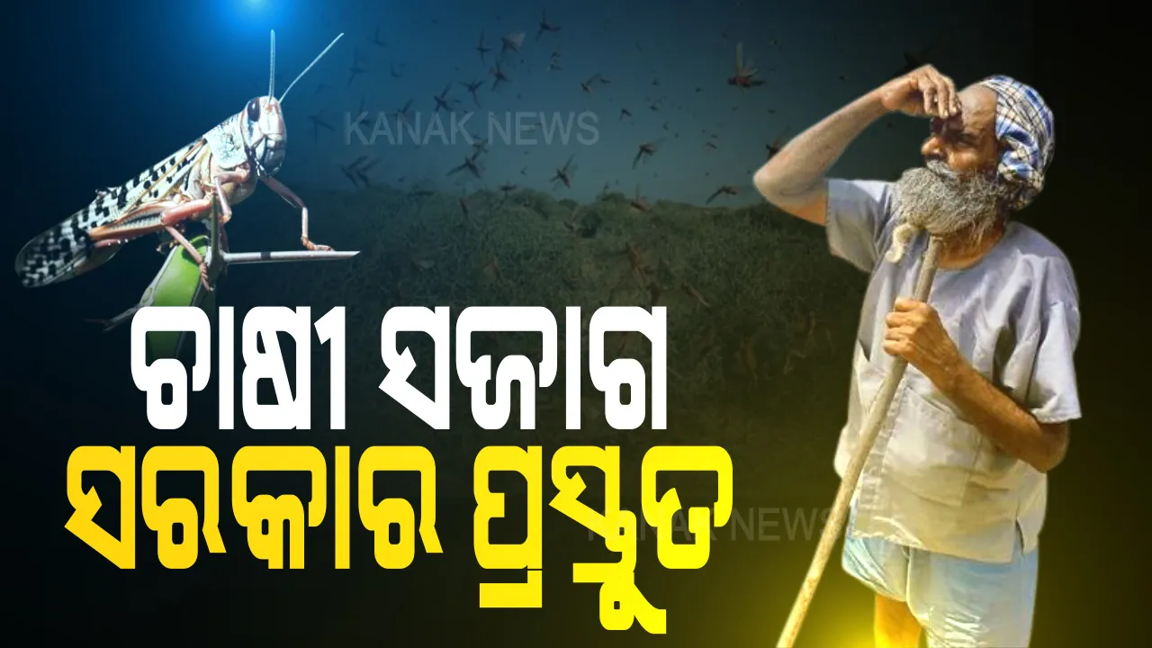  ଛତିଶଗଡରେ ପହଁଚିଥିବା ପଙ୍ଗପାଳଙ୍କ ଗତିବିଧି ଉପରେ ଓଡିଶାର ନଜର । ମୁଖ୍ୟମନ୍ତ୍ରୀ କଲେ ସମୀକ୍ଷା, ସୀମାନ୍ତ ଜିଲ୍ଲାରେ ସତର୍କ ରହିବାକୁ ନିର୍ଦ୍ଦେଶ ।
