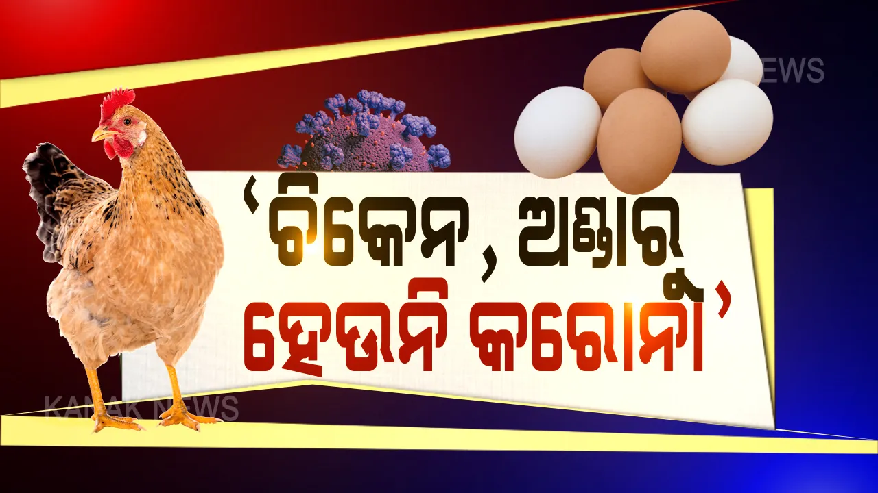  କୁକୁଡା ଖାଇଲେ ହେଉନି କରୋନା । ମହାମାରୀ ବେଳେ ଖାଇହେବ ମାଂସ, ଅଣ୍ଡା । ନିରାପଦରେ ଚିକେନ ଖାଇପାରିବା ନେଇ ପରାମର୍ଶ ଦେଲେ ସରକାର । କହିଲେ, ମାଂସ ଖାଇଲେ କରୋନା ହେବା ଏକ ଗୁଜବ