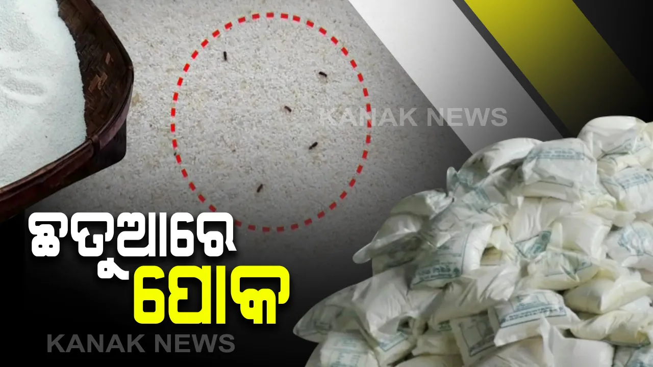  ଛତୁଆରେ ପୋକ: ଚିତ୍ରକୋଣ୍ଡା ସ୍ୱାଭିମାନ ଅଚଂଳରେ ସାମଗ୍ରୀ ଗ୍ରହଣ କଲେନି ପିଲାଙ୍କ ଅଭିଭାବକ; କ୍ୟାମେରା ଆଗରେ ମୁହଁ ଖୋଲୁନାହାନ୍ତି ସିଡିପିଓ