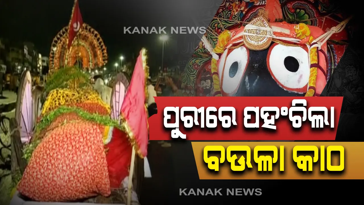  ଶ୍ରୀକ୍ଷେତ୍ରରେ ପହଂଚିଲା ବଉଳା କାଠ: ସତ୍ୟବାଦୀରୁ ସୁସଜ୍ଜିତ ଶଗଡରେ ତିନି ଖଣ୍ଡ କାଠକୁ ପାଟବସ୍ତ୍ରରେ ଘୋଡେଇ ଅଣାଗଲା ପୁରୀ; ଶ୍ରୀମନ୍ଦିର ପ୍ରଶାସନକୁ କରାଗଲା ହସ୍ତାନ୍ତର