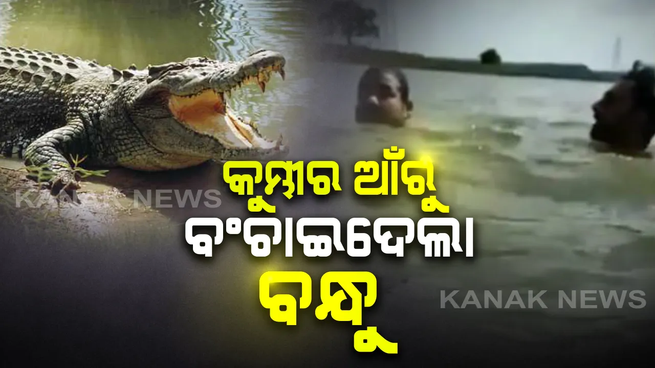  ମରଣ ମୁହଁରୁ ଟାଣିଆଣିଲା ସାଙ୍ଗ : ଡ଼୍ୟାମରେ ଗାଧୋଉଥିବା ସମୟରେ ସାଙ୍ଗ ଉପରକୁ ଆକ୍ରମଣ କଲା କୁମ୍ଭୀର , ନିଜ ଜୀବନକୁ ବାଜି ଲଗାଇ ବନ୍ଧୁ ପାଇଁ କୁମ୍ଭୀର ସହ ଲଢିଲା ବନ୍ଧୁ । ଦେଖନ୍ତୁ ଭିଡିଓ