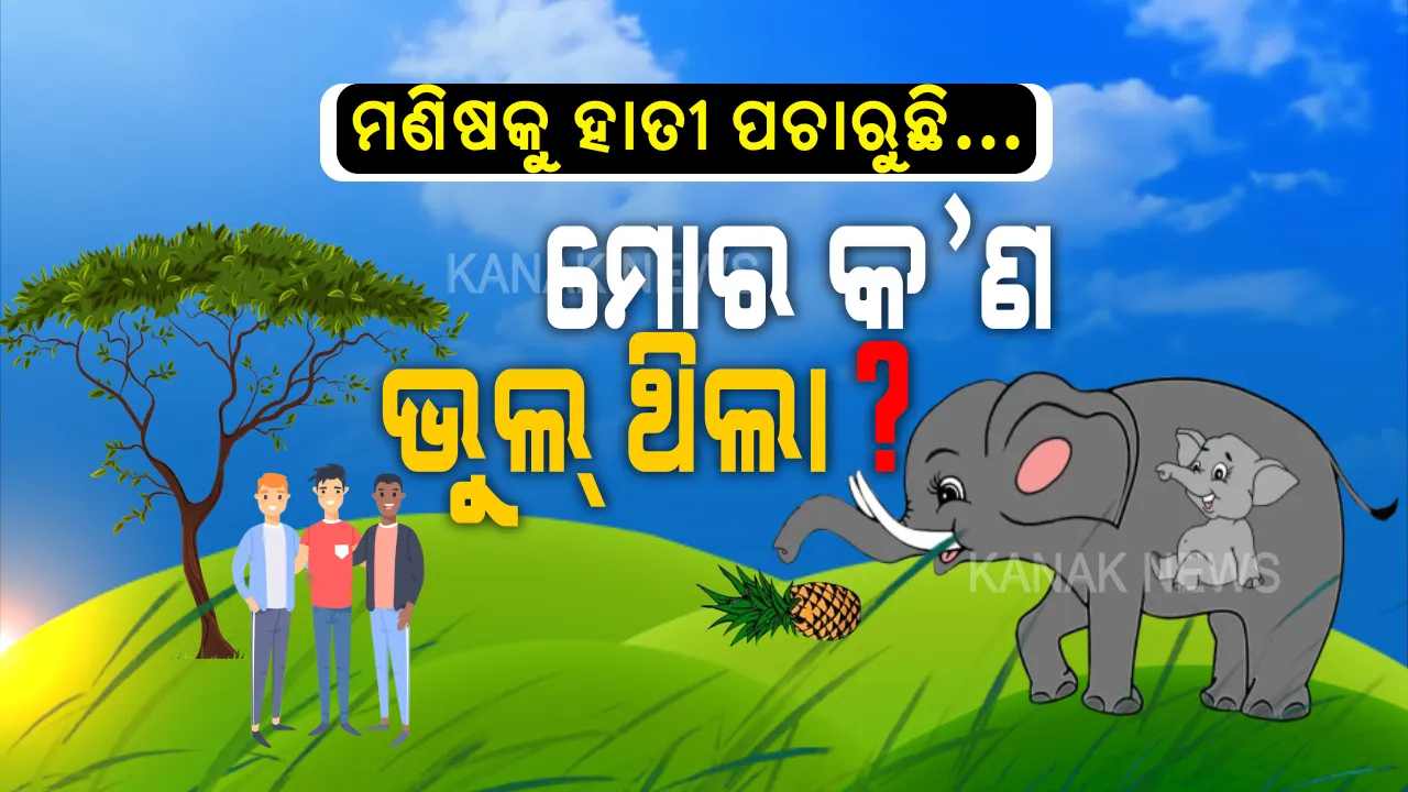  ହାତୀ ହତ୍ୟାକାରୀ ହାତରେ ହାତକଡ଼ି ପଡ଼ିଲା ସତ । ହେଲେ ମଣିଷକୁ ହାତୀ ପଚାରୁଛି, ଆମେ ବିଶ୍ୱାସ କରି ସ୍ନେହଭରା ସପୁରୀକୁ ଖାଇ ଦେଲୁ କ’ଣ ଏଇଟା ଭୁଲ କଲୁ?
