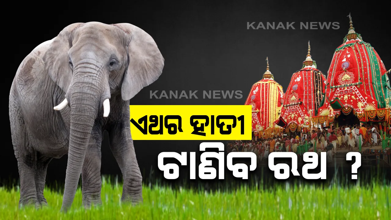  ଶ୍ରୀକ୍ଷେତ୍ରରେ ହାତୀ ଦ୍ୱାରା ରଥ ଟାଣିବାକୁ ସୁଦ୍ଧ ସୁଆର ନିଯୋଗର ପ୍ରସ୍ତାବ: ରଥ ଟାଣିବା ପାଇଁ ଶ୍ରୀମନ୍ଦିର ନୀତି ପ୍ରଶାସକଙ୍କୁ ଦେଲେ ୫୦ ସେବାୟତଙ୍କ ତାଲିକା